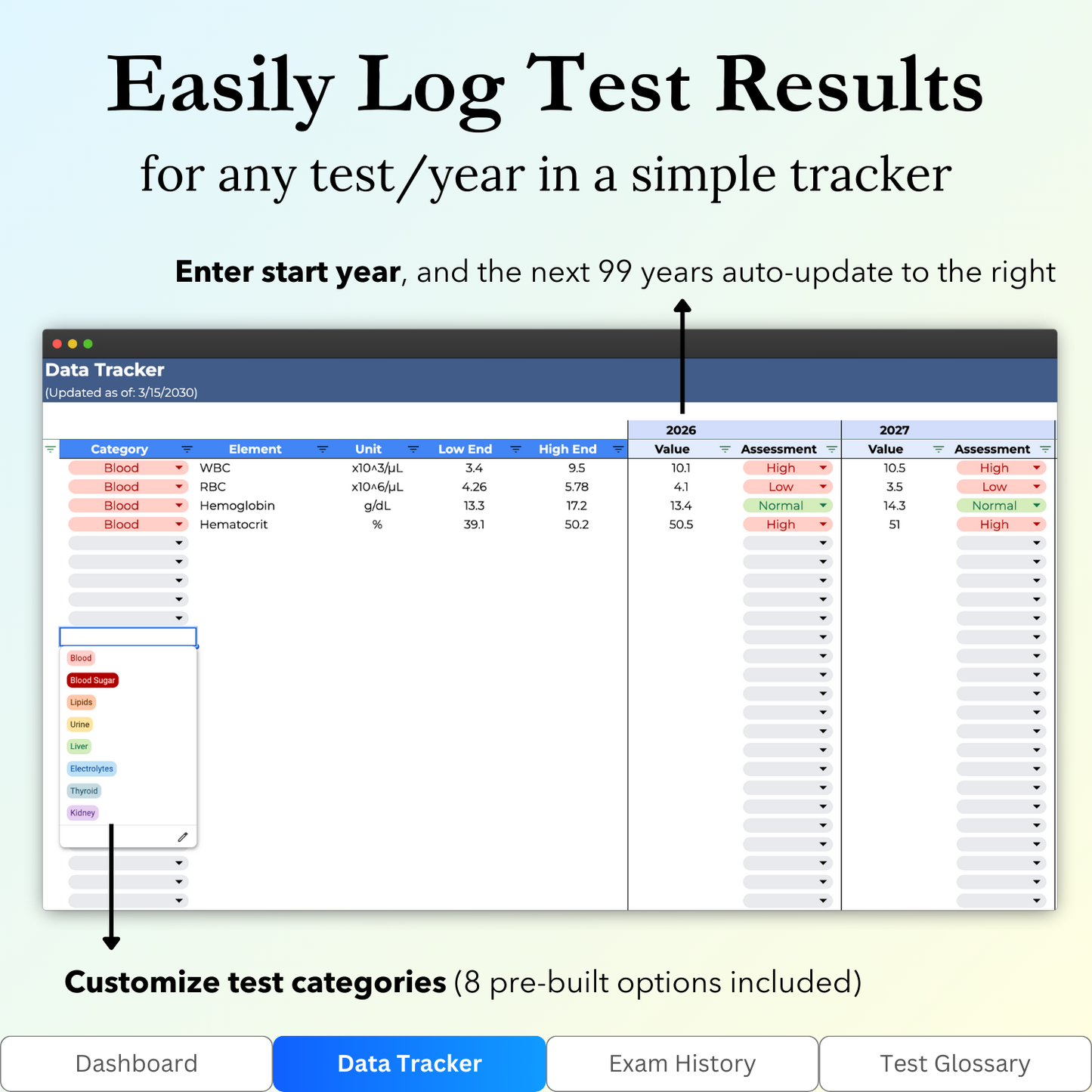 Key features of the "Data Tracker" tab in the Annual Physical Exam Tracker Google Sheets template