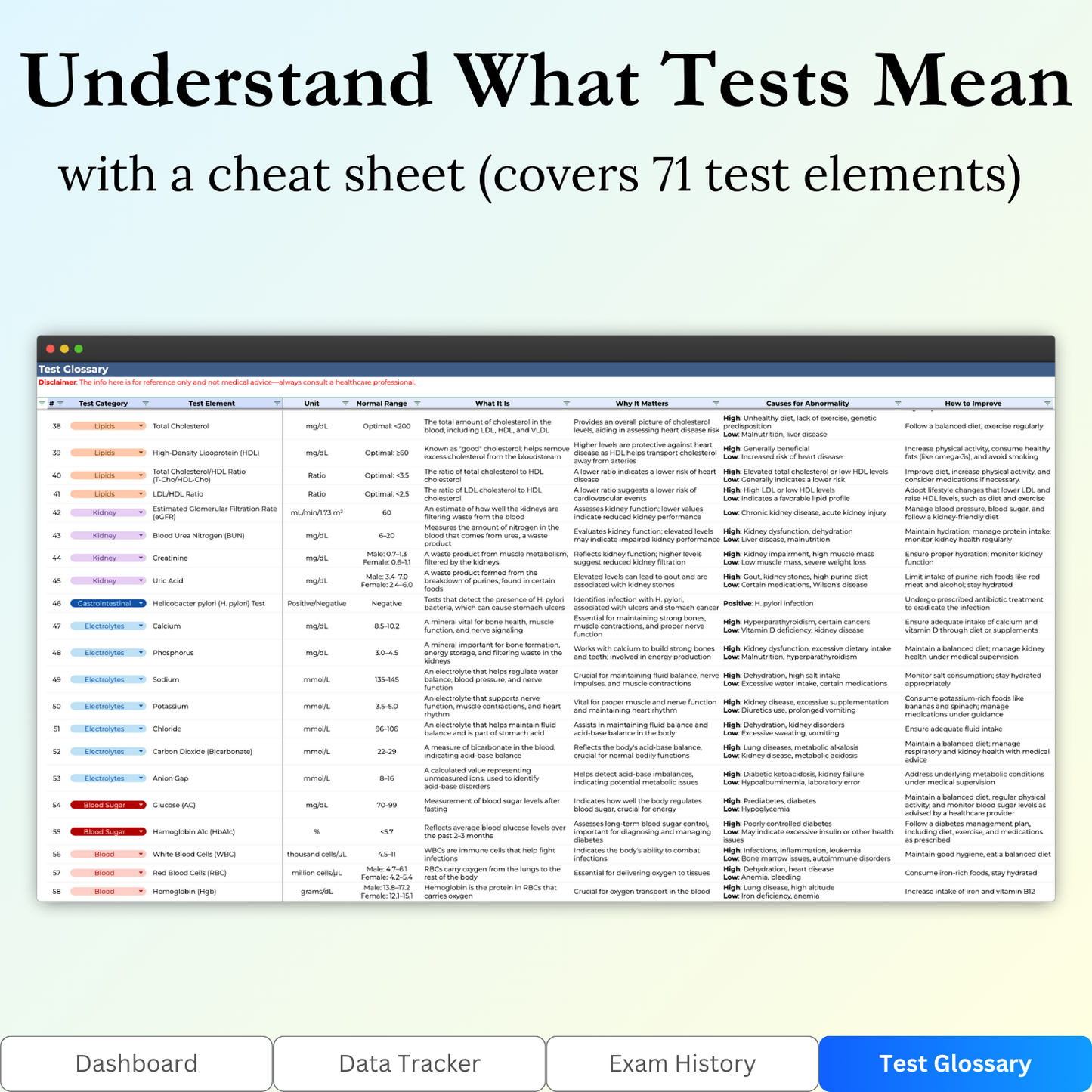 Key features of the "Test Glossary" tab in the Annual Physical Exam Tracker Google Sheets template
